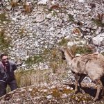 16262718959_9d0c8fb7cd_o