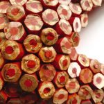 Estrella_de_mar_(detalle)