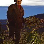 FB_29_2008_pilolil_2989_D3