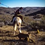 FB_55_2008-Boleo-Limay-PUMA-FINAL