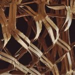 Mar-muerto_(detalle02)