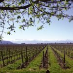 fil_ebce9dbe0b_20100720121225